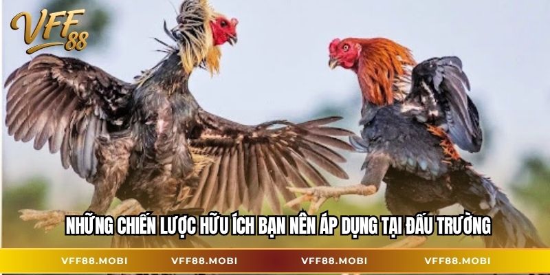 Những chiến lược hữu ích bạn nên áp dụng tại đấu trường